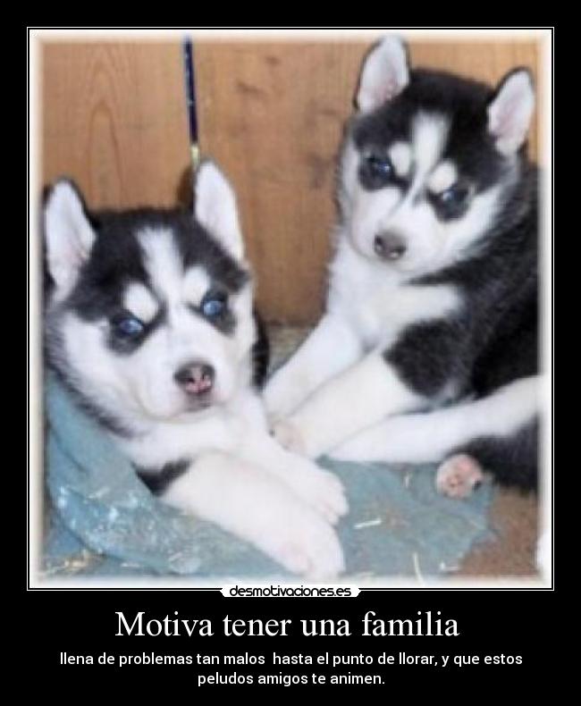 Motiva tener una familia  - 