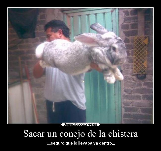 carteles axeo desmotivaciones