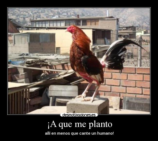 carteles yyyy desmotivaciones