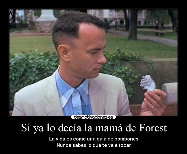 Si ya lo decía la mamá de Forest - 
