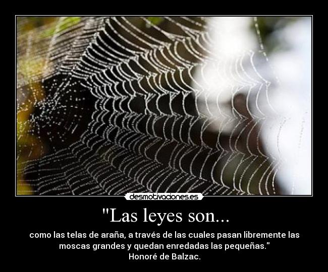 Las leyes son... - como las telas de araña, a través de las cuales pasan libremente las
moscas grandes y quedan enredadas las pequeñas.
Honoré de Balzac.