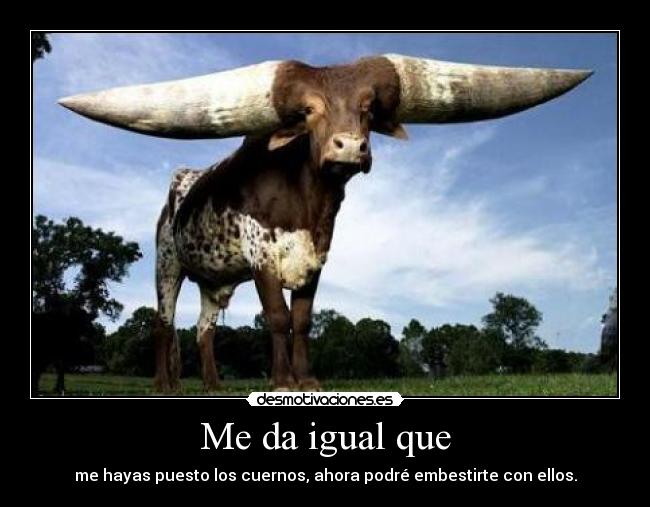Me da igual que - me hayas puesto los cuernos, ahora podré embestirte con ellos.