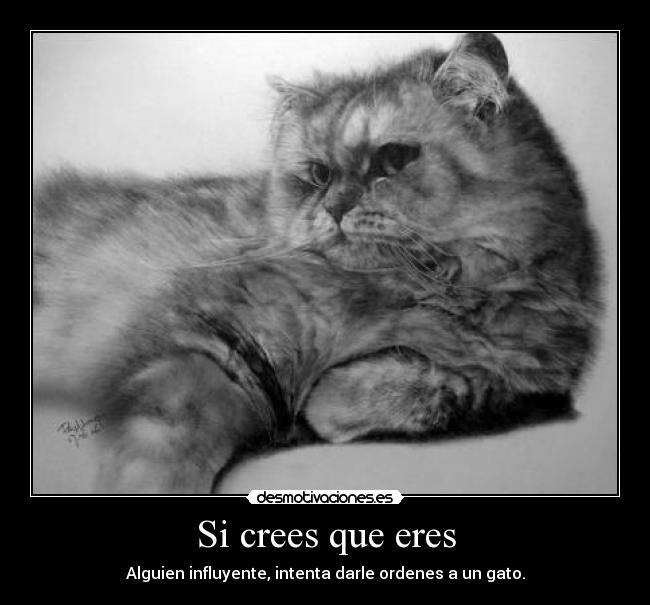 Si crees que eres - 