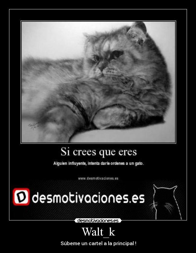Walt_k - Súbeme un cartel a la principal !
