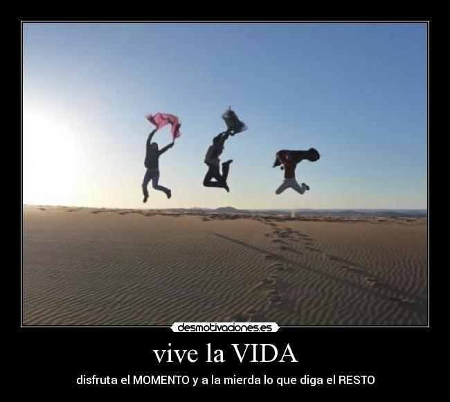 vive la VIDA -