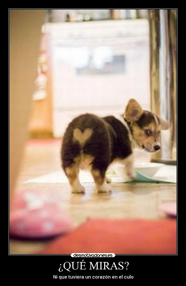 ¿QUÉ MIRAS? -