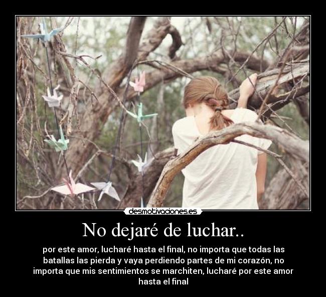 No dejaré de luchar.. - 