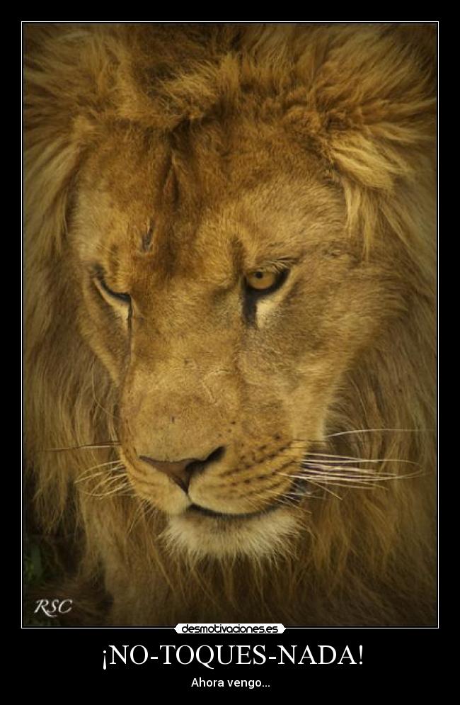 ¡NO-TOQUES-NADA! - 