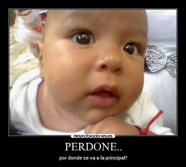 PERDONE.. - por donde se va a la principal?