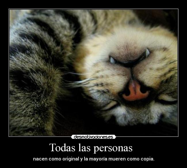 Todas las personas   - 