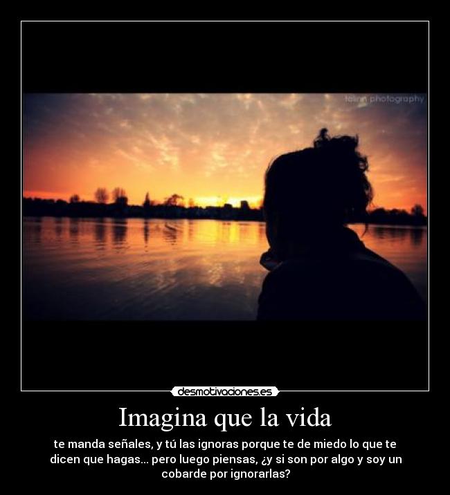 Imagina que la vida - te manda señales, y tú las ignoras porque te de miedo lo que te
dicen que hagas... pero luego piensas, ¿y si son por algo y soy un
cobarde por ignorarlas?