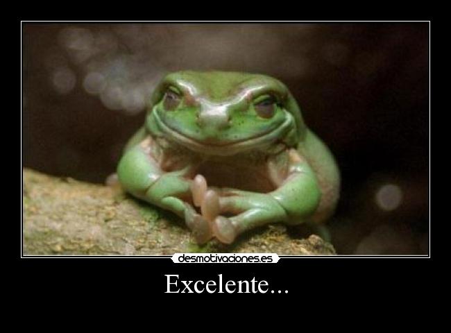 carteles rana desmotivaciones