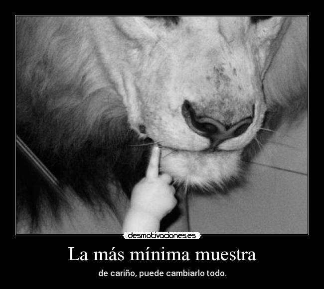 La más mínima muestra - de cariño, puede cambiarlo todo.