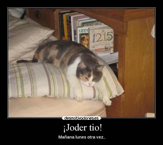carteles joder tio lunes semana gato instituto desmotivaciones