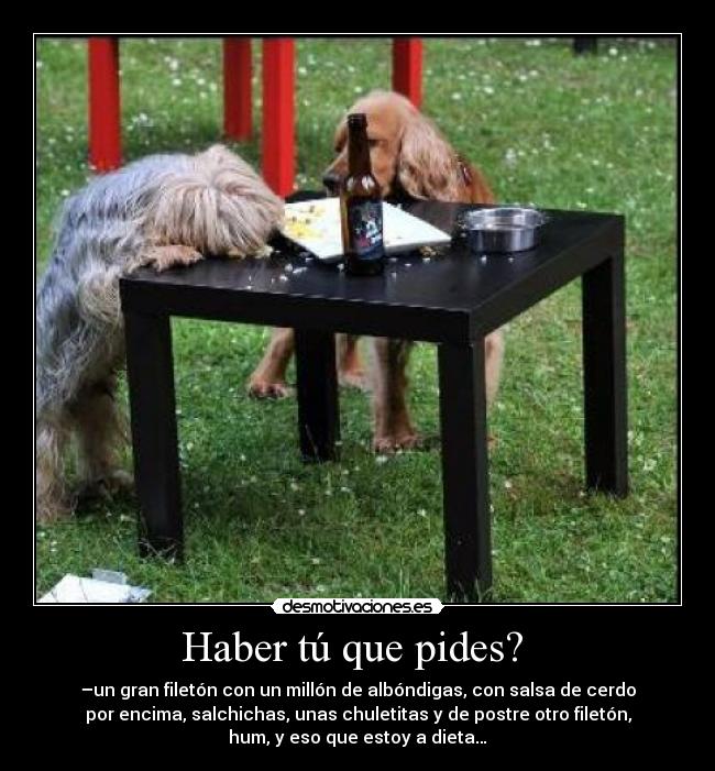 Haber tú que pides?  - –un gran filetón con un millón de albóndigas, con salsa de cerdo
por encima, salchichas, unas chuletitas y de postre otro filetón,
hum, y eso que estoy a dieta…