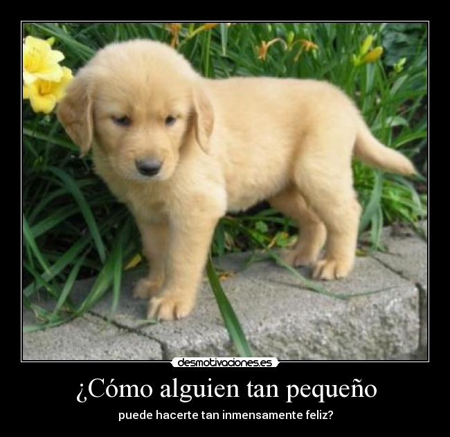 ¿Cómo alguien tan pequeño - puede hacerte tan inmensamente feliz?