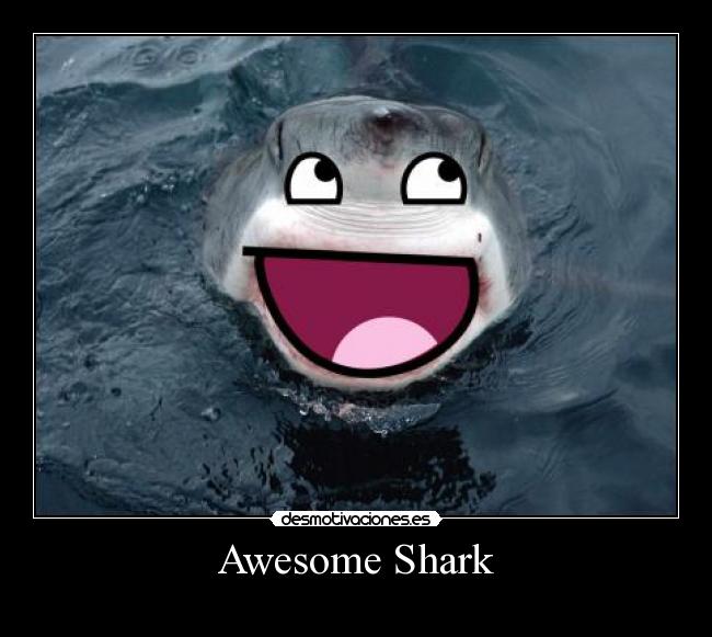 Awesome Shark -