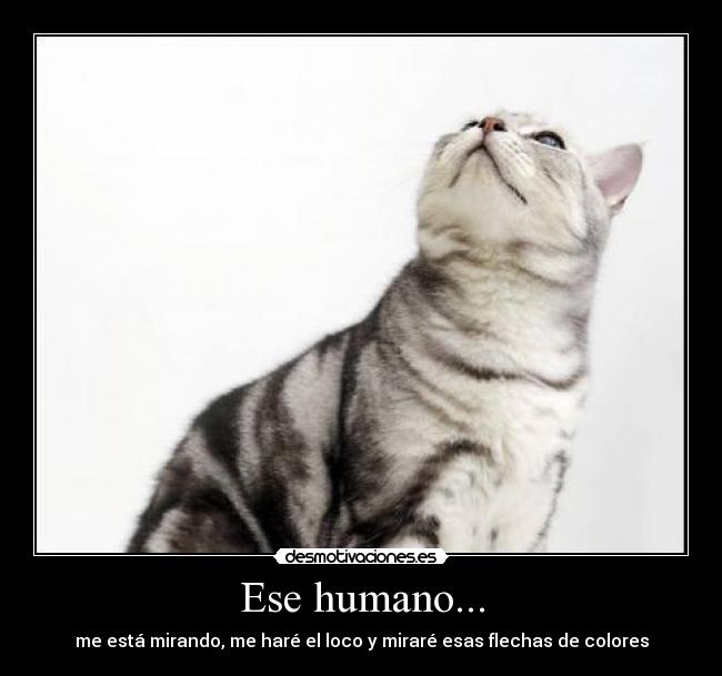 Ese humano... -
