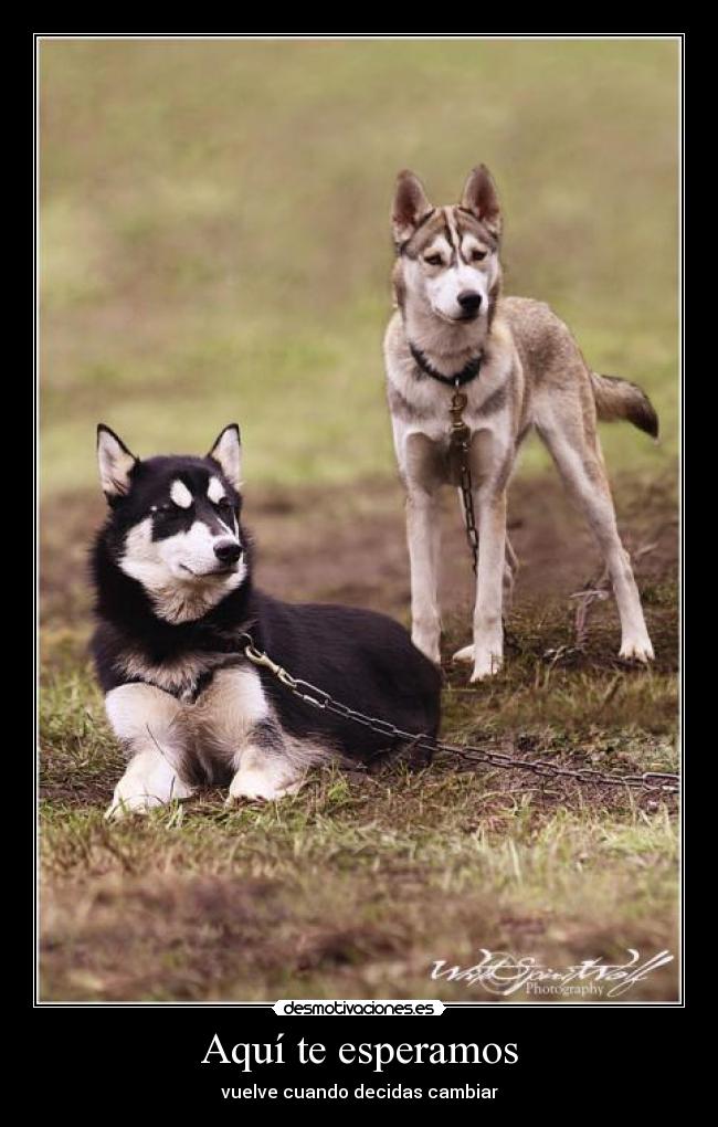 Aquí te esperamos - vuelve cuando decidas cambiar