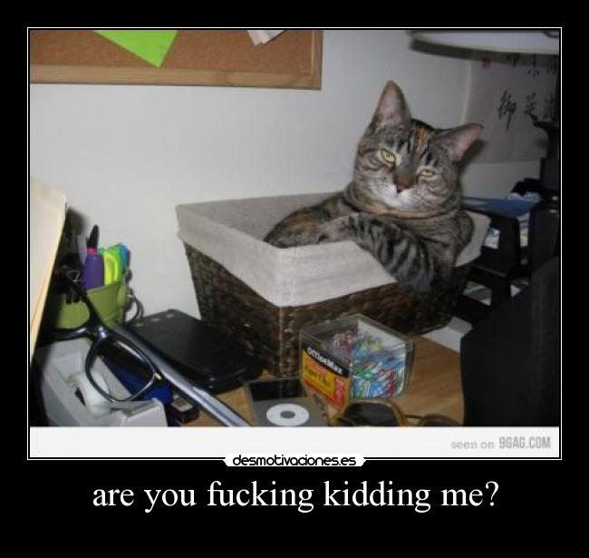 are you fucking kidding me? -