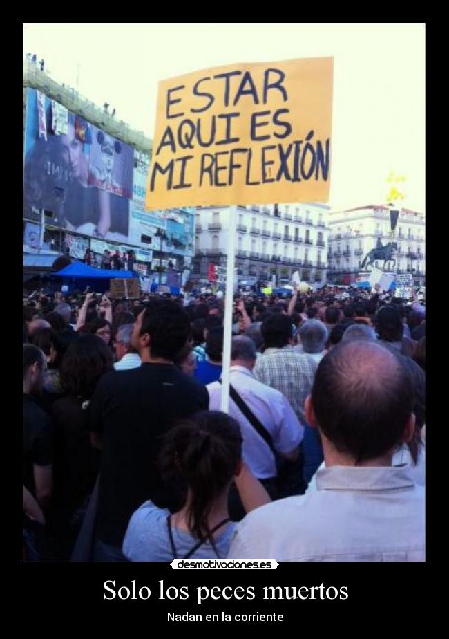 carteles 15m revolucion madrid zapatero peces muertos politicos chorizos desmotivaciones