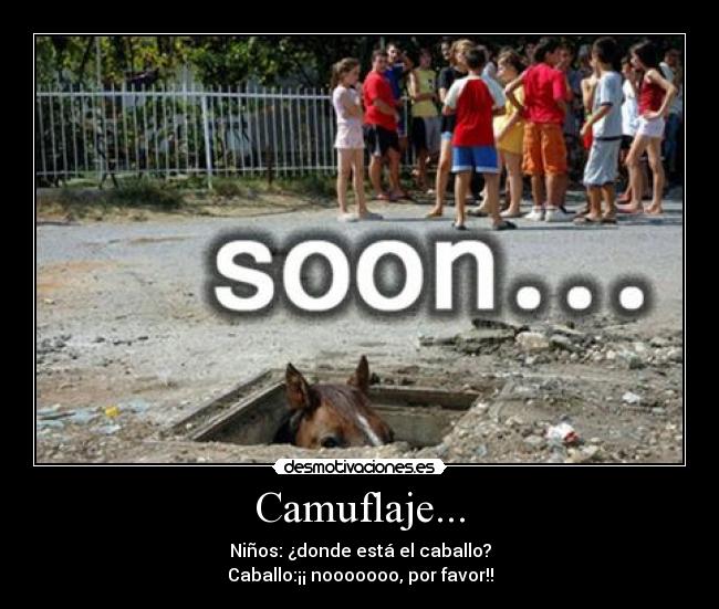 carteles camuflaje ninos caballo desmotivaciones