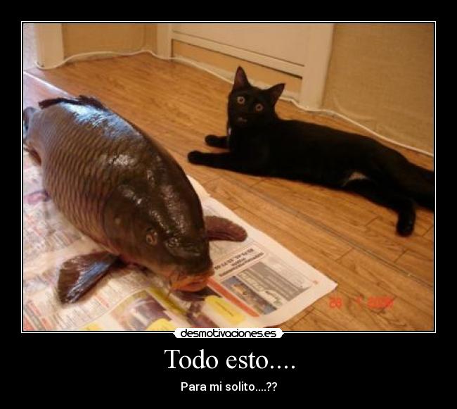 carteles gatospez comida desmotivaciones