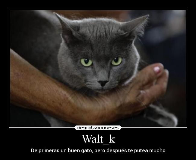 Walt_k -