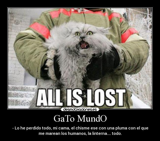 GaTo MundO - 