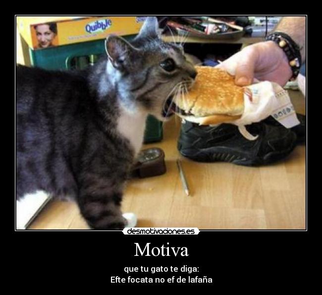 carteles motiva gatoslasana desmotivaciones