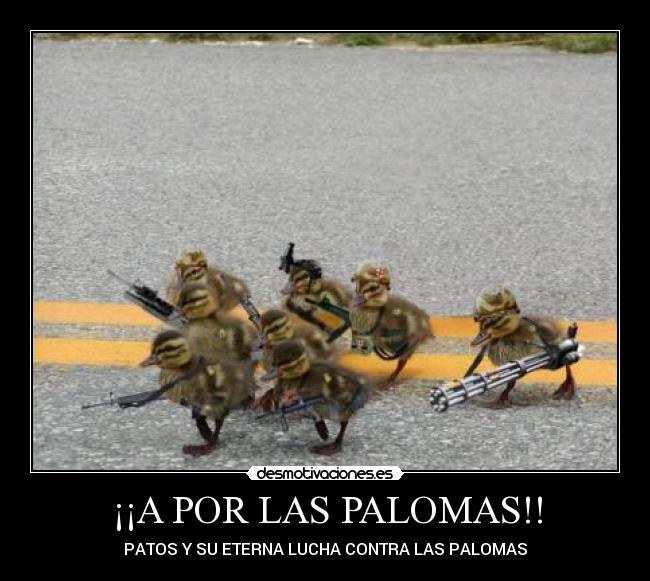 ¡¡A POR LAS PALOMAS!! - PATOS Y SU ETERNA LUCHA CONTRA LAS PALOMAS