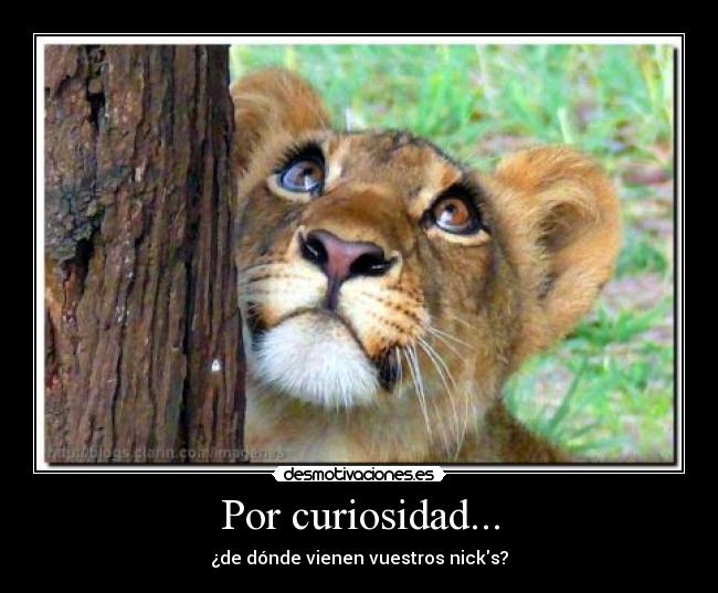 Por curiosidad... - 