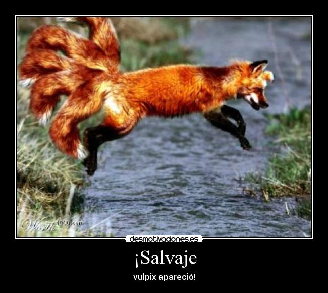 ¡Salvaje - 