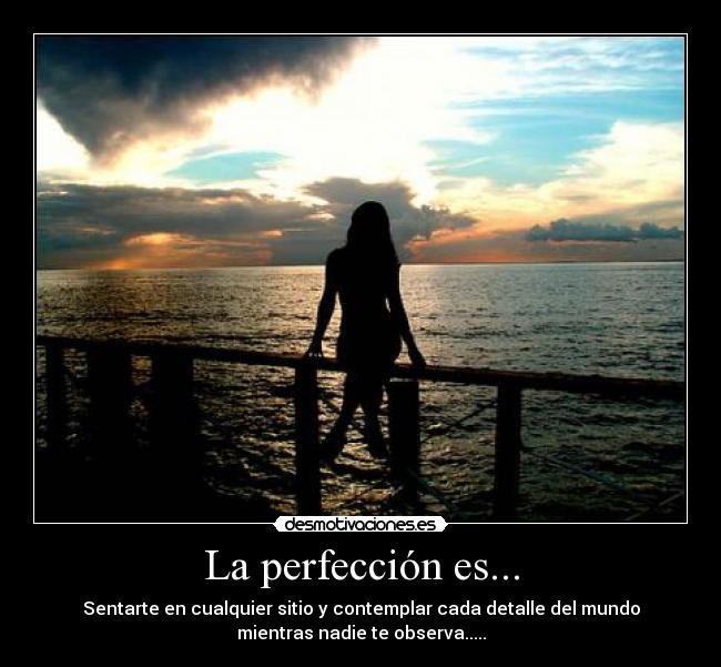La perfección es... - 