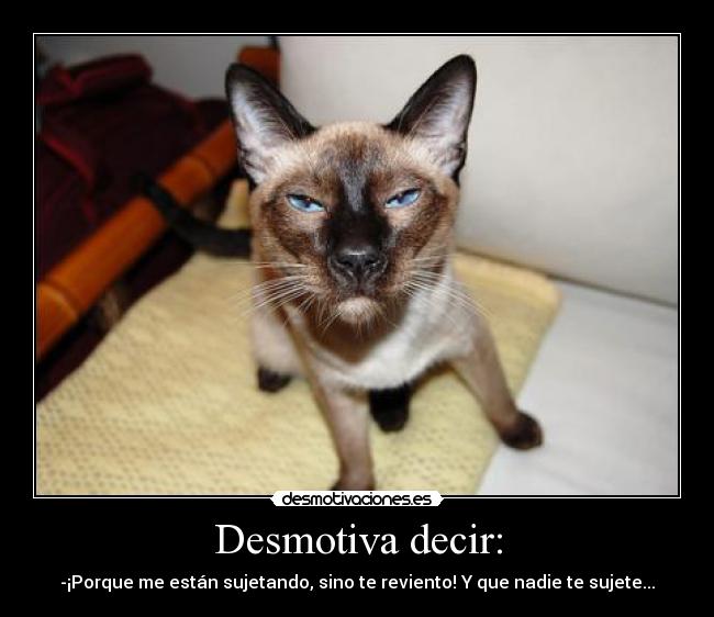 Desmotiva decir: - -¡Porque me están sujetando, sino te reviento! Y que nadie te sujete...