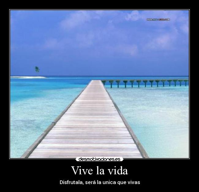 carteles vida rocio desmotivaciones