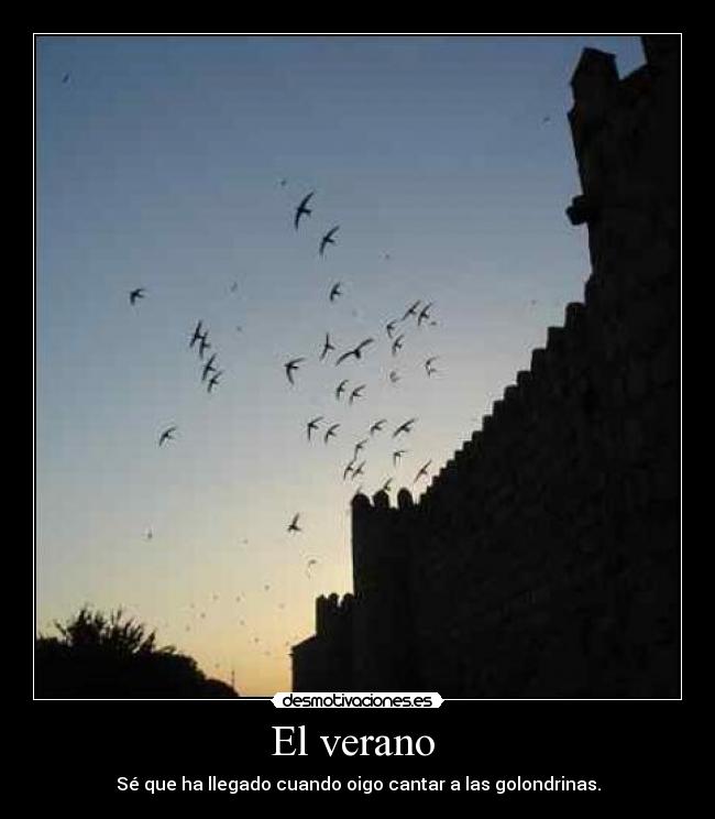 El verano  - Sé que ha llegado cuando oigo cantar a las golondrinas.
