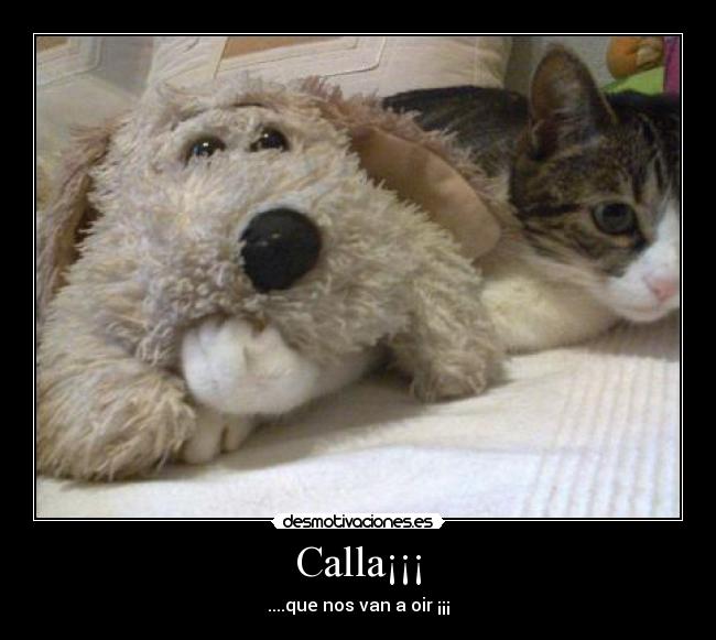 Calla¡¡¡ - ....que nos van a oir ¡¡¡