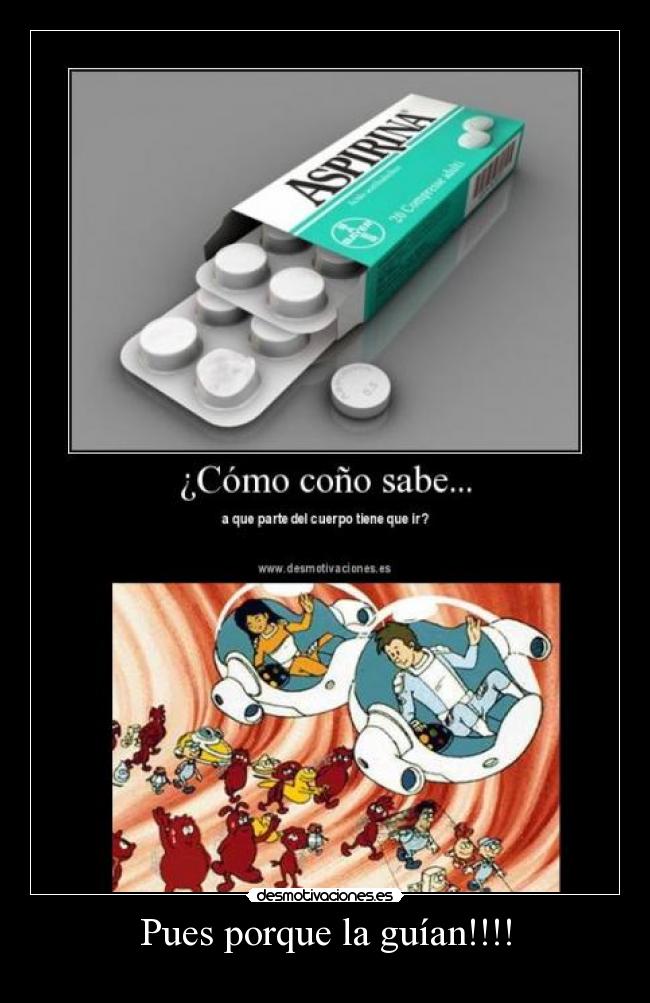 Pues porque la guían!!!! - 