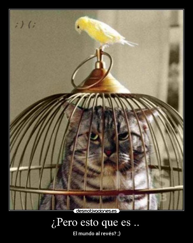 ¿Pero esto que es .. - El mundo al revés? ;)