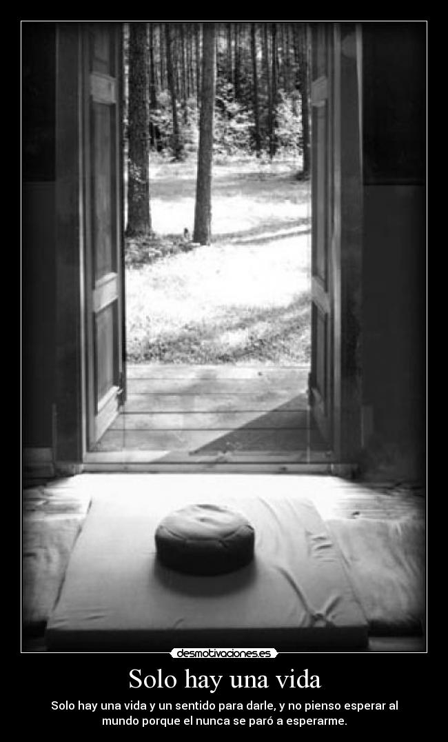 Solo hay una vida -