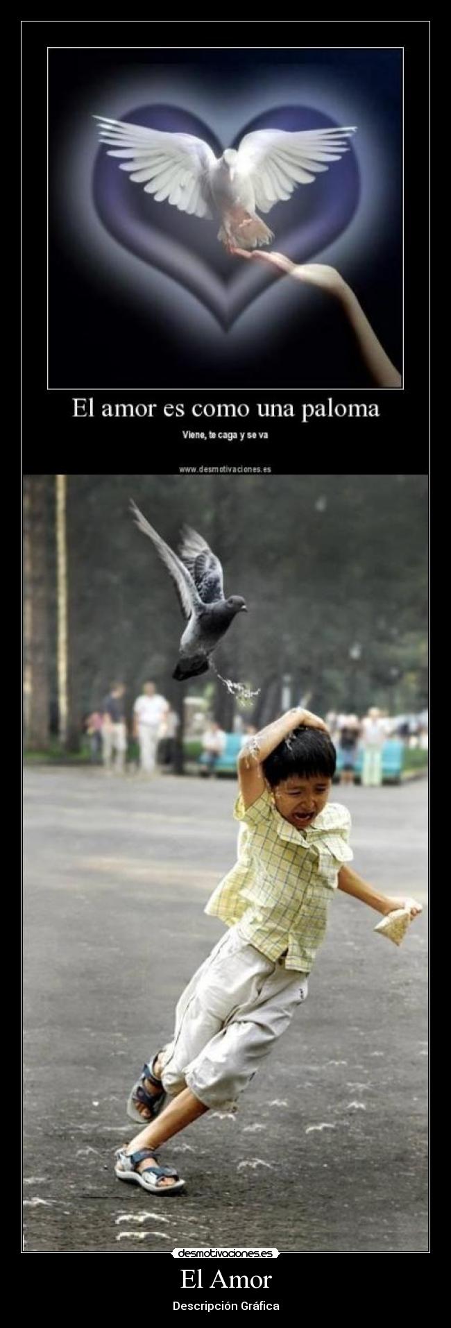 El Amor - Descripción Gráfica