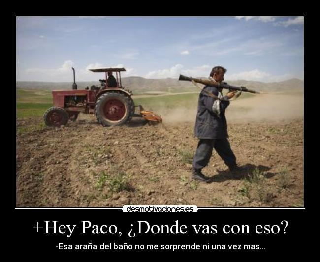 +Hey Paco, ¿Donde vas con eso? - -Esa araña del baño no me sorprende ni una vez mas...