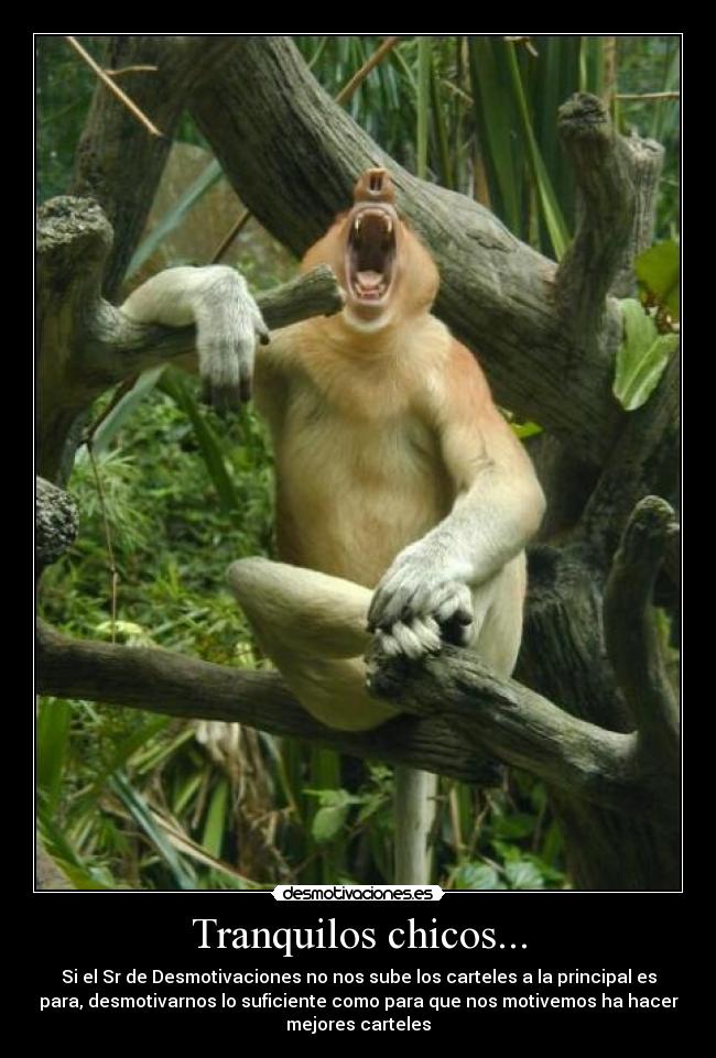 Tranquilos chicos... - Si el Sr de Desmotivaciones no nos sube los carteles a la principal es
para, desmotivarnos lo suficiente como para que nos motivemos ha hacer
mejores carteles