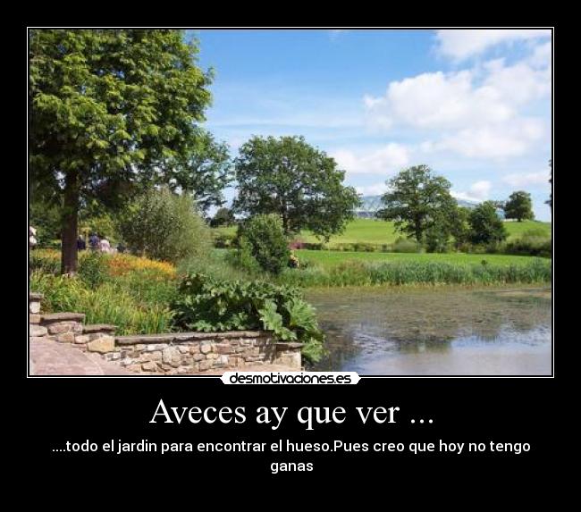 Aveces ay que ver ... -