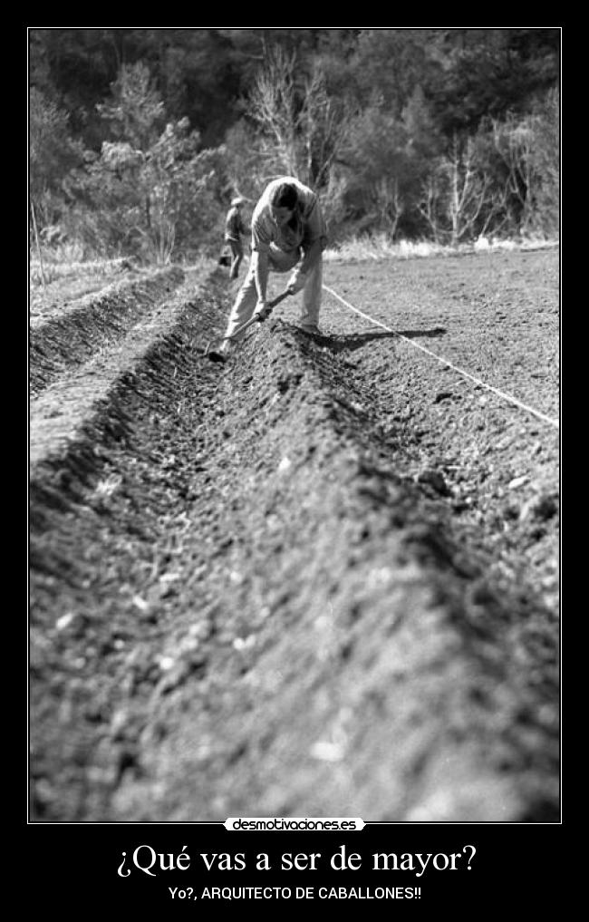 ¿Qué vas a ser de mayor? -