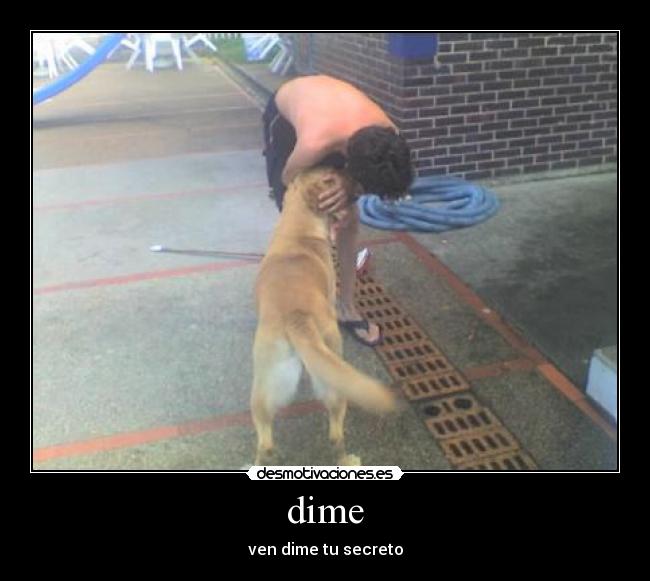 dime - 