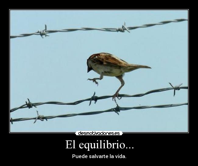 El equilibrio... - Puede salvarte la vida.