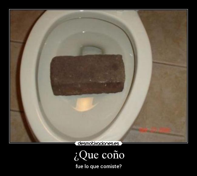 ¿Que coño -
