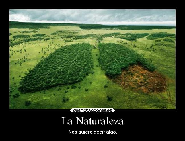 La Naturaleza -
